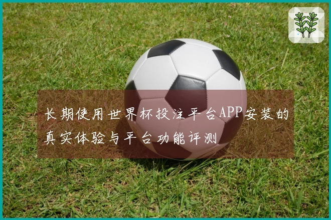 长期使用世界杯投注平台APP安装的真实体验与平台功能评测