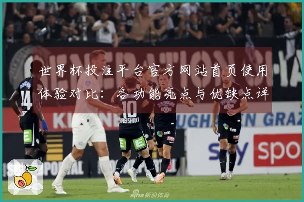 世界杯投注平台官方网站首页使用体验对比：各功能亮点与优缺点详解