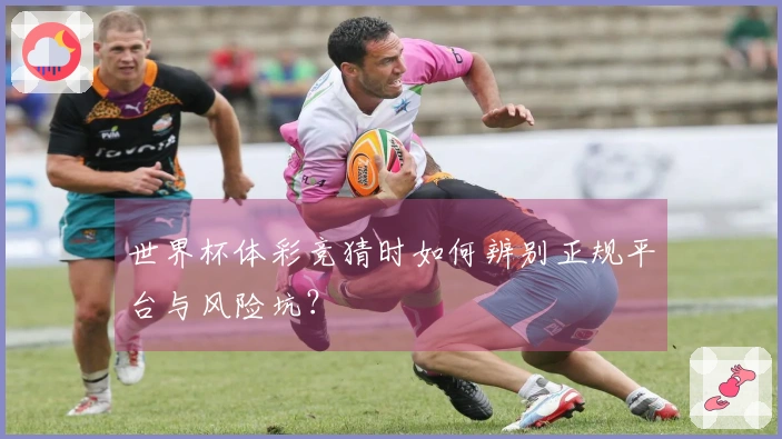 世界杯体彩竞猜时如何辨别正规平台与风险坑？