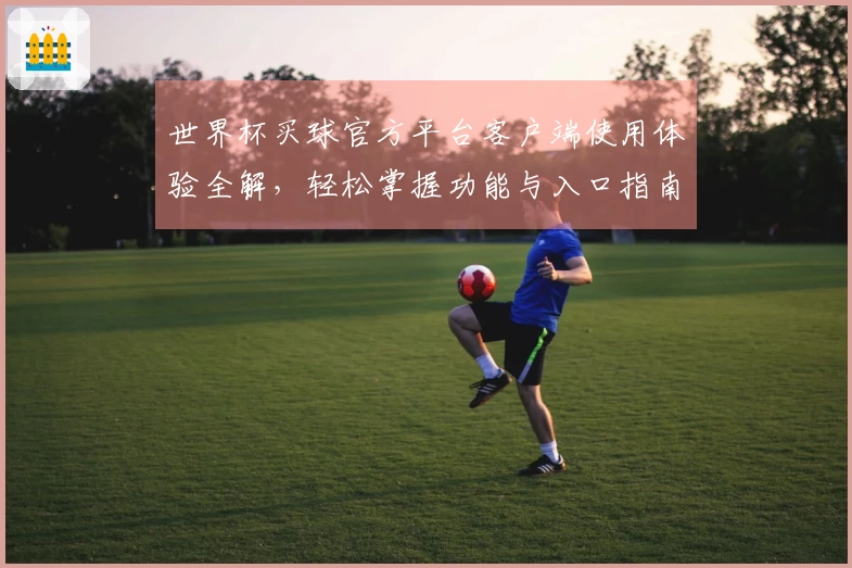 世界杯买球官方平台客户端使用体验全解，轻松掌握功能与入口指南