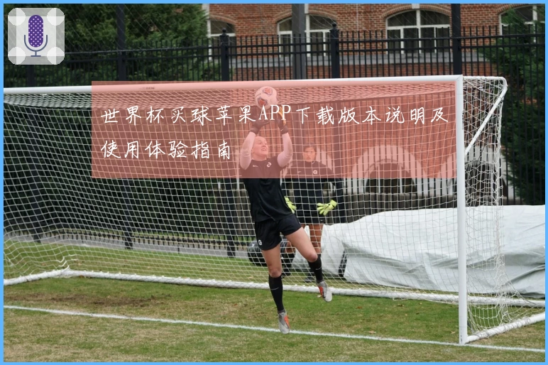 世界杯买球苹果APP下载版本说明及使用体验指南