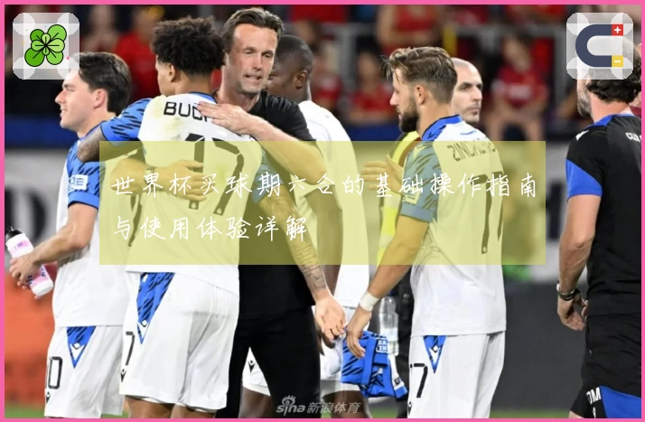 世界杯买球期六合的基础操作指南与使用体验详解