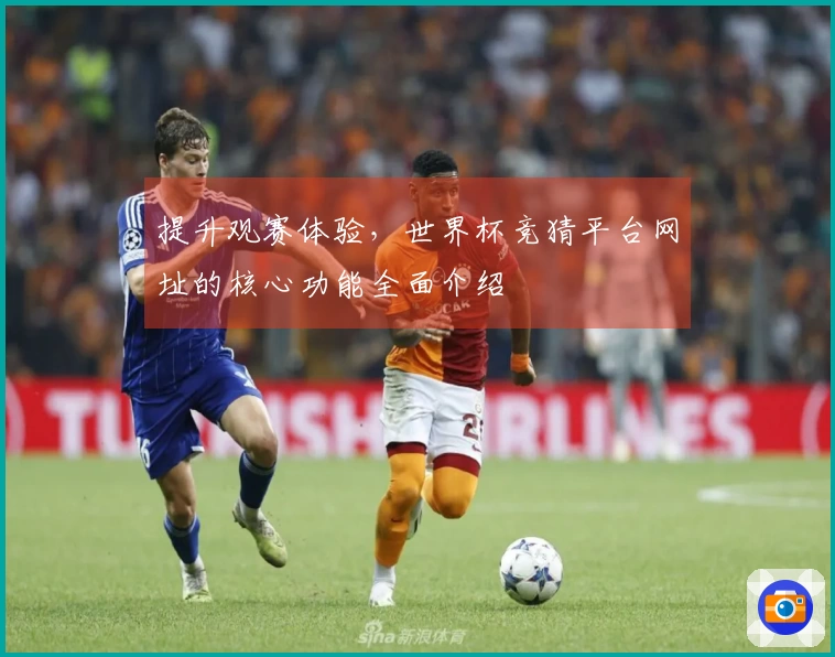 提升观赛体验，世界杯竞猜平台网址的核心功能全面介绍