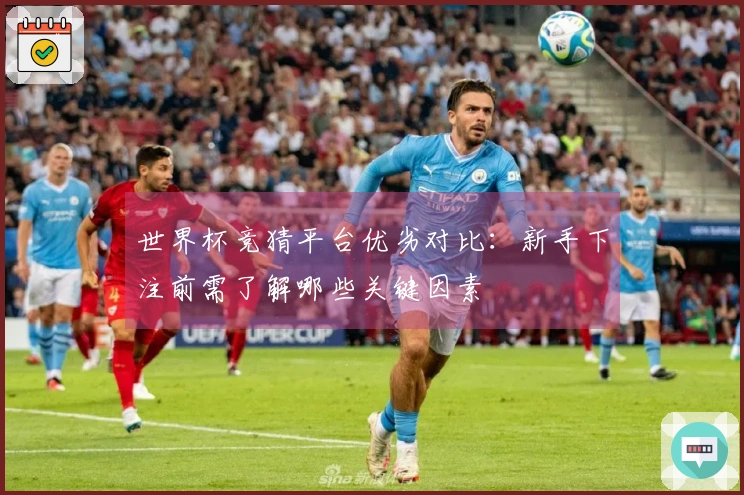 世界杯竞猜平台优劣对比：新手下注前需了解哪些关键因素