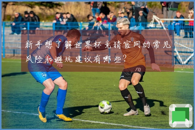 新手想了解世界杯竞猜官网的常见风险和避坑建议有哪些？