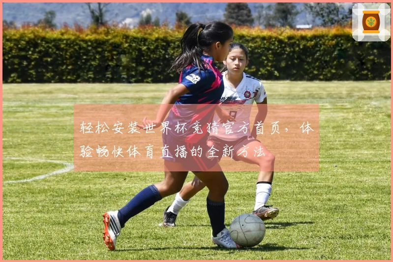 轻松安装世界杯竞猜官方首页，体验畅快体育直播的全新方法