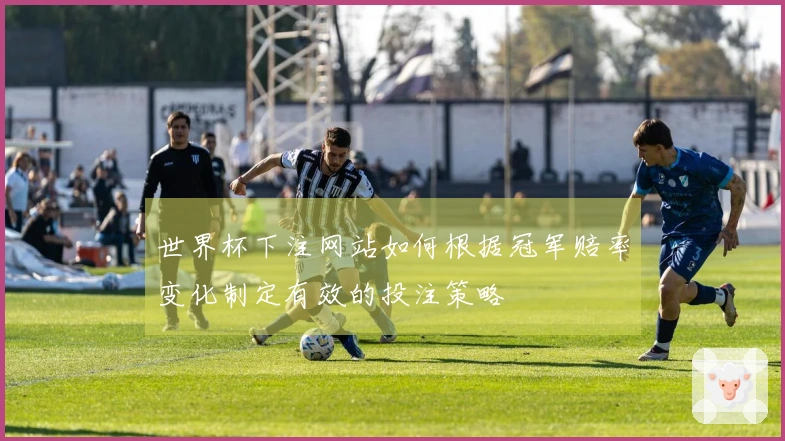 世界杯下注网站如何根据冠军赔率变化制定有效的投注策略