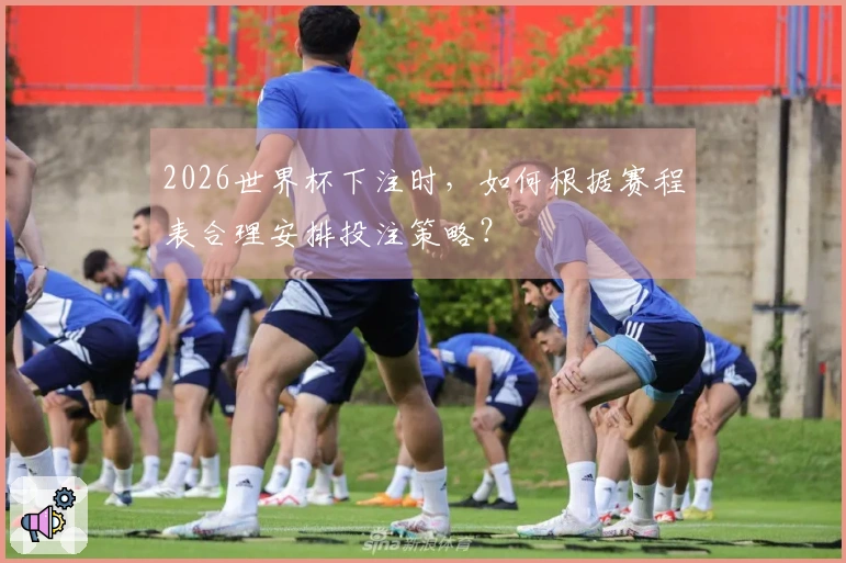 2026世界杯下注时，如何根据赛程表合理安排投注策略？