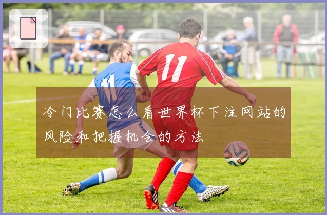 冷门比赛怎么看世界杯下注网站的风险和把握机会的方法