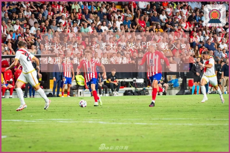 轻松上手，世界杯买球APP下载入口使用指南与功能介绍