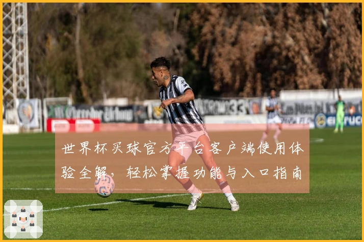 世界杯买球官方平台客户端使用体验全解，轻松掌握功能与入口指南