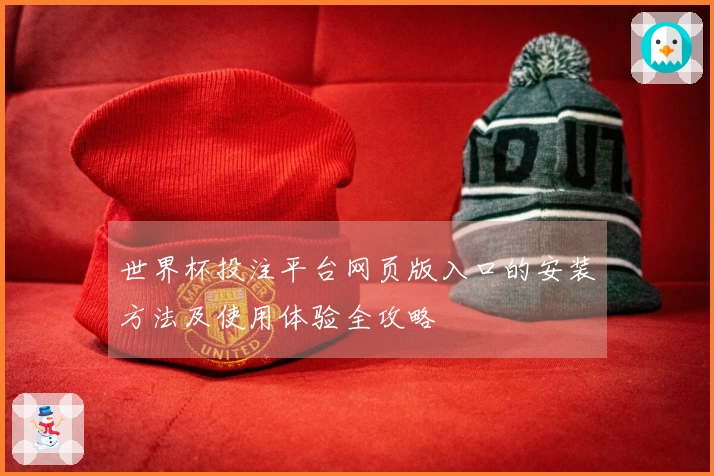 世界杯投注平台网页版入口的安装方法及使用体验全攻略