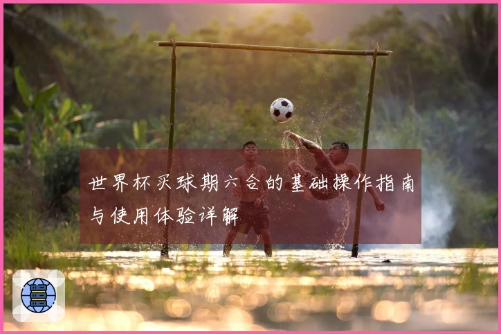世界杯买球期六合的基础操作指南与使用体验详解