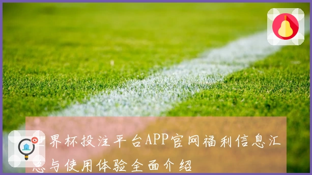 世界杯投注平台APP官网福利信息汇总与使用体验全面介绍