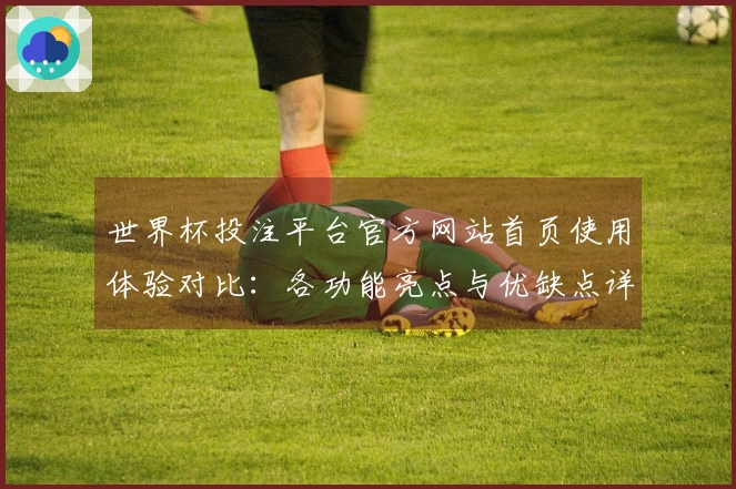 世界杯投注平台官方网站首页使用体验对比：各功能亮点与优缺点详解