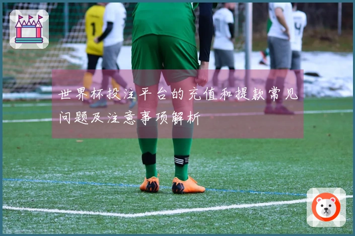 世界杯投注平台的充值和提款常见问题及注意事项解析